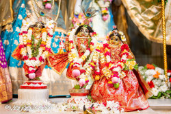 Daily Darshan