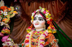 Daily Darshan