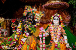 Daily Darshan