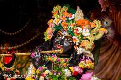 Daily Darshan