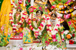 Daily Darshan