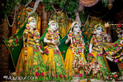 Daily Darshan