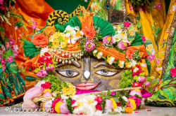 Daily Darshan