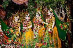 Daily Darshan