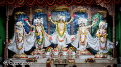 Daily Darshan
