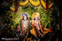Daily Darshan