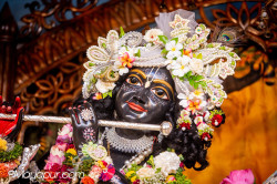 Daily Darshan