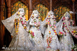 Daily Darshan