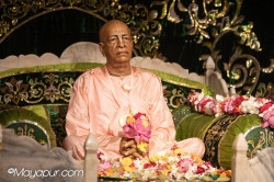Daily Darshan