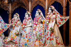 Daily Darshan