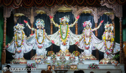 Daily Darshan