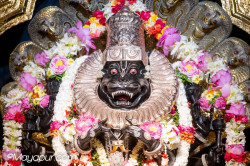 Daily Darshan