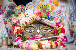 Daily Darshan