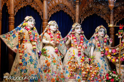 Daily Darshan