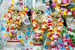 Daily Darshan