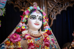 Daily Darshan