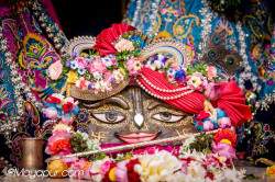Daily Darshan