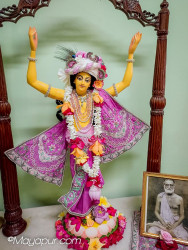 Daily Darshan