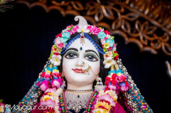Daily Darshan