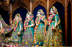 Daily Darshan