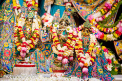 Daily Darshan