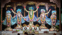 Daily Darshan