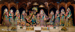 Daily Darshan