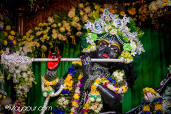 Daily Darshan