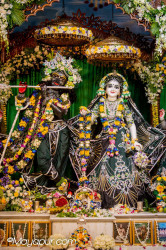 Daily Darshan