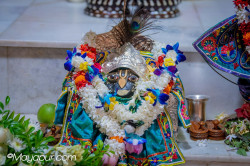 Daily Darshan
