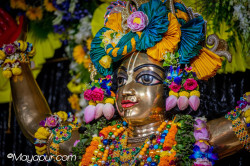 Daily Darshan