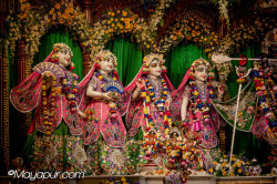 Daily Darshan
