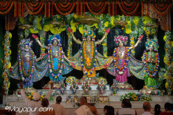 Daily Darshan