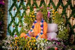Daily Darshan