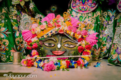 Daily Darshan