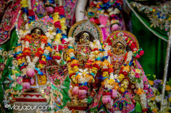 Daily Darshan