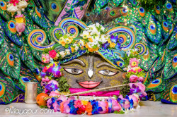 Daily Darshan