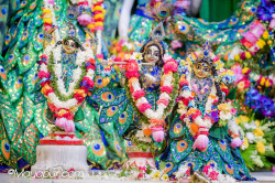 Daily Darshan