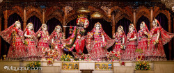 Daily Darshan