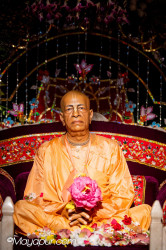 Daily Darshan