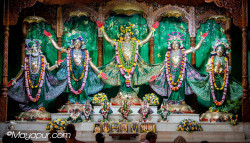 Daily Darshan
