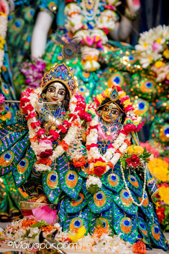 Daily Darshan