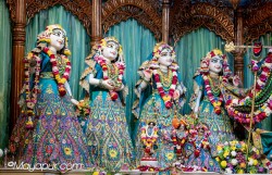Daily Darshan