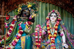 Daily Darshan