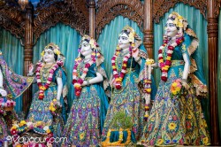 Daily Darshan