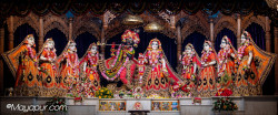 Daily Darshan