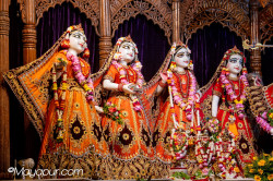 Daily Darshan