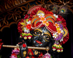 Daily Darshan