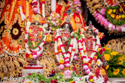 Daily Darshan