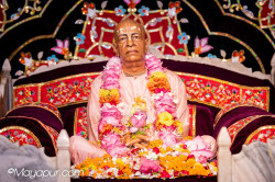 Daily Darshan